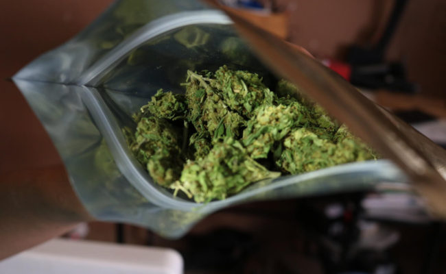 La Legalización De La Marihuana En Mexico