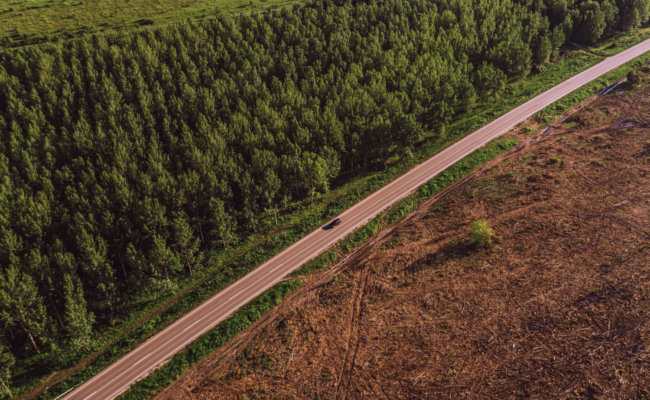 Día De La Madre Tierra - Carretera En Deforestación Muestra El Efecto De La Actividad Humana