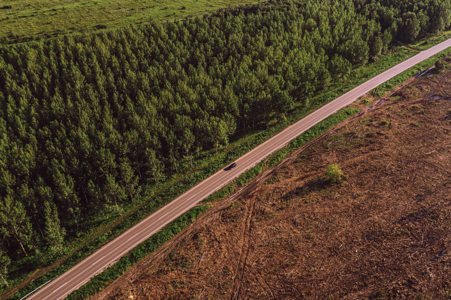 Día de la Madre Tierra - Carretera en deforestación muestra el efecto de la actividad humana