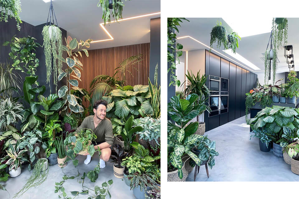 plant-log-turning-your-house-into-a-jungle-jardiner-a