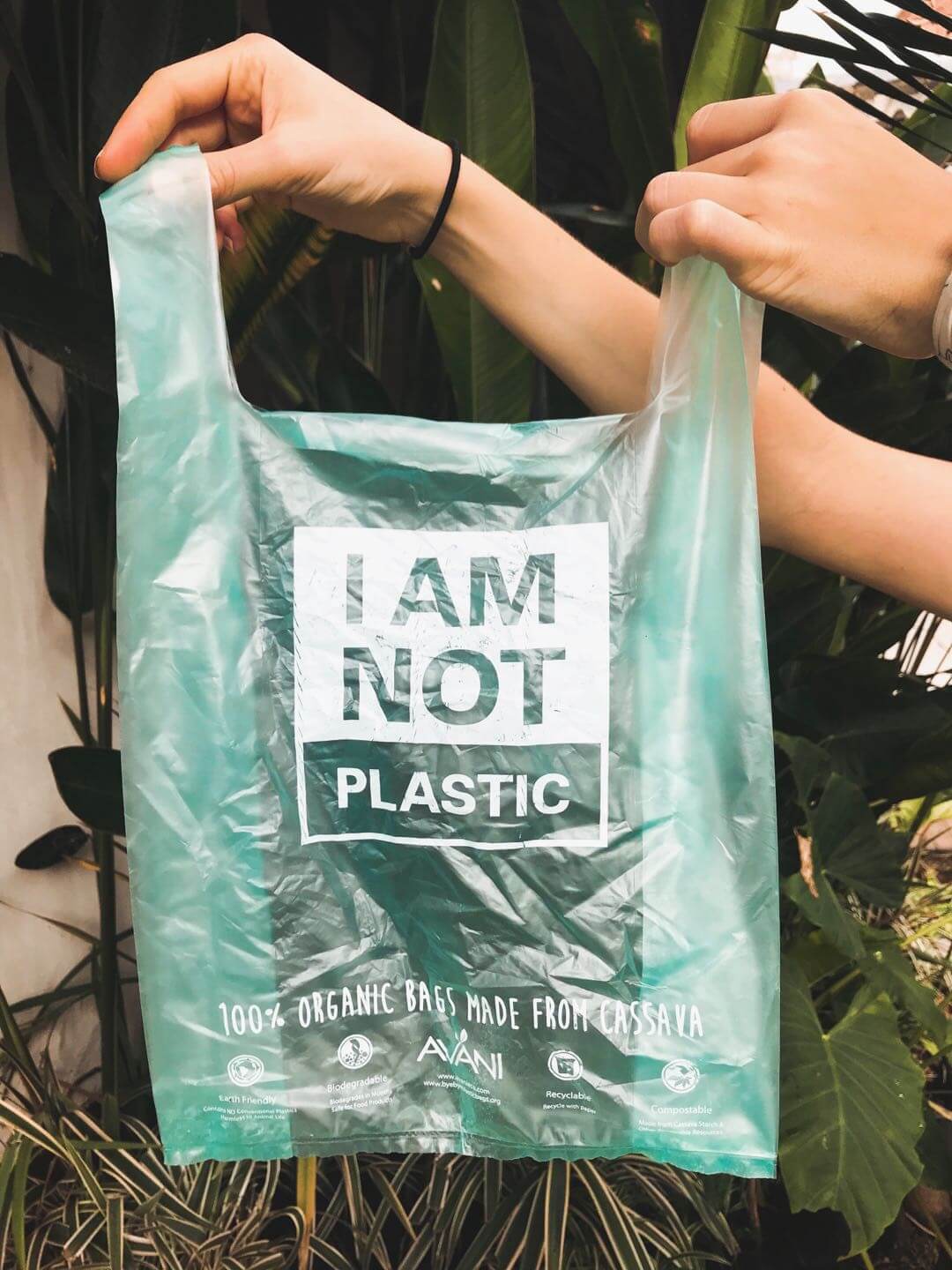 bolsas de yuca biodegradables